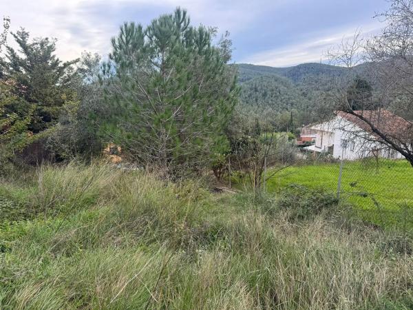 Terreno en calle Mataro, 12