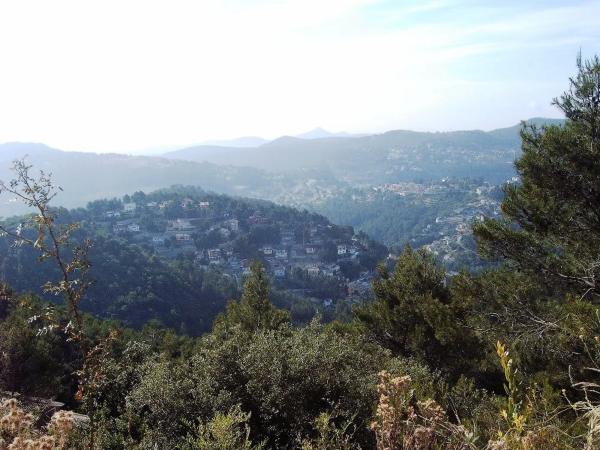 Terreno en calle del Bedoll, 17