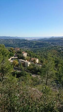 Terreno en calle de l'Eucaliptus, 148