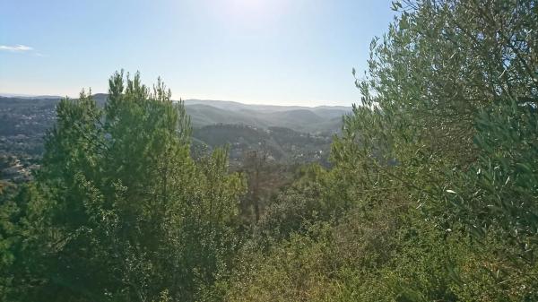 Terreno en calle de l'Eucaliptus, 148
