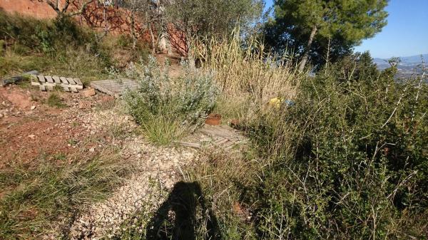 Terreno en calle de l'Eucaliptus, 148