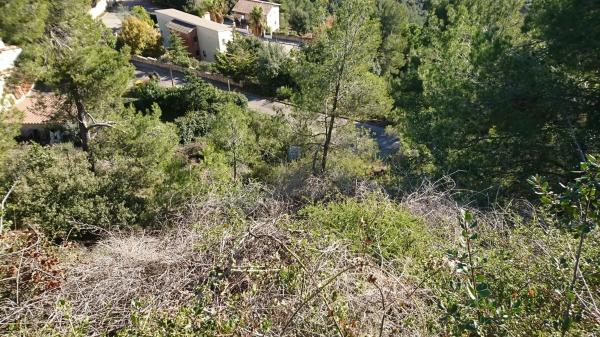 Terreno en calle de l'Eucaliptus, 148