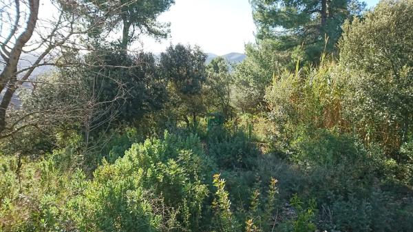 Terreno en calle de l'Eucaliptus, 148