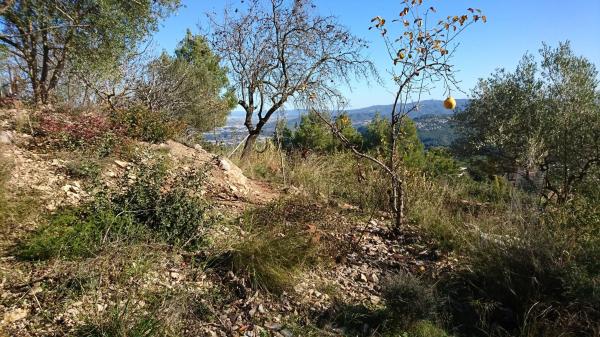Terreno en calle de l'Eucaliptus, 148