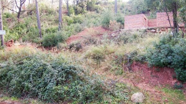 Terreno en Corbera de Llobregat