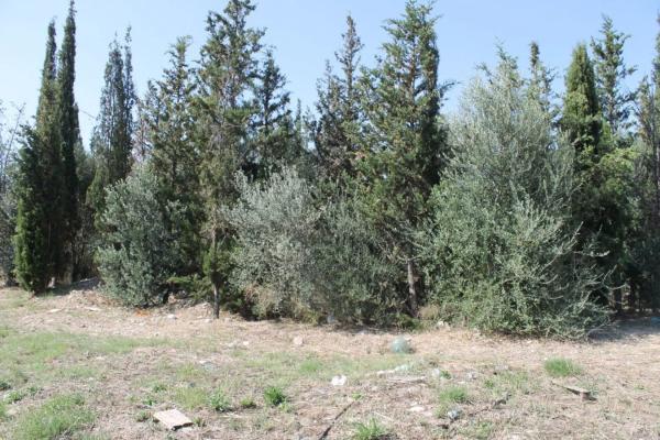 Terreno en Olesa de Montserrat
