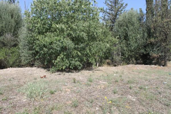 Terreno en Olesa de Montserrat