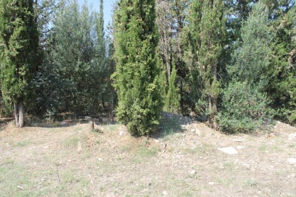 Terreno en Olesa de Montserrat