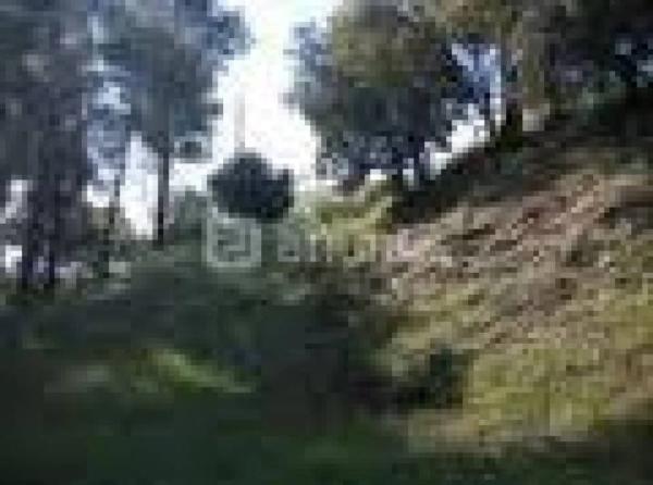 Terreno en Can Vinyals