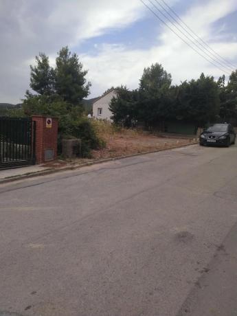 Terreno en calle de les Oliveres, 9 n