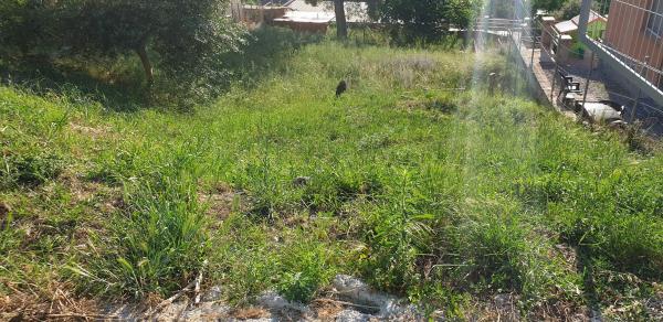 Terreno en calle Murcia, 12