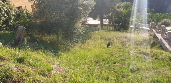 Terreno en calle Murcia, 12