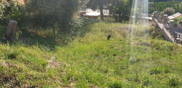 Terreno en calle Murcia, 12