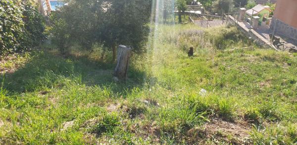 Terreno en calle Murcia, 12