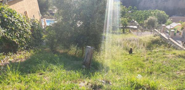 Terreno en calle Murcia, 12