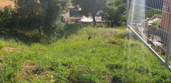 Terreno en calle Murcia, 12