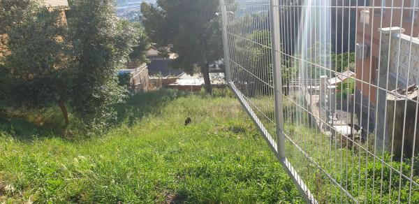 Terreno en calle Murcia, 12