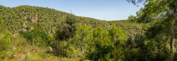 Terreno en calle Comtes de Pallars, 20