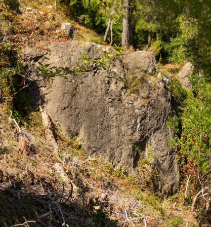 Terreno en calle Comtes de Pallars, 20