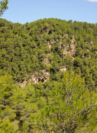 Terreno en calle Comtes de Pallars, 20