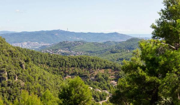 Terreno en calle Comtes de Pallars, 20
