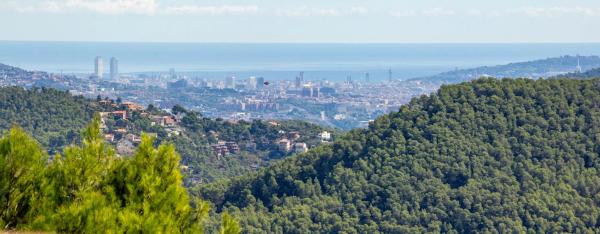 Terreno en calle Comtes de Pallars, 20