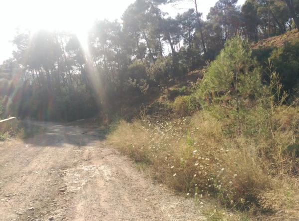 Terreno en Corbera de Llobregat