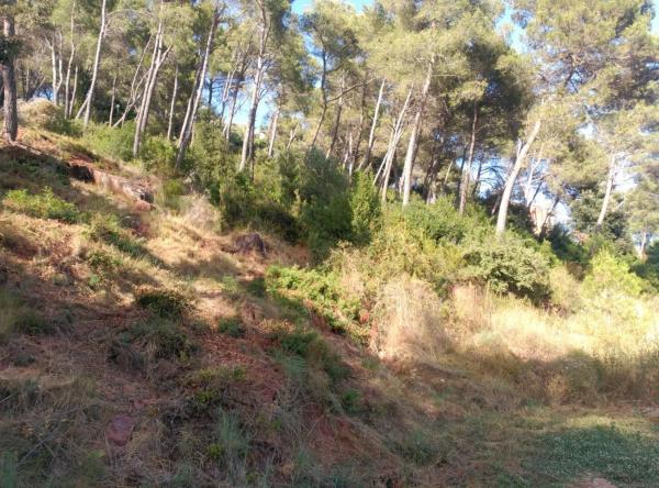 Terreno en Corbera de Llobregat
