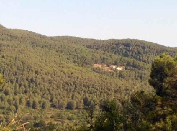 Terreno en Corbera de Llobregat