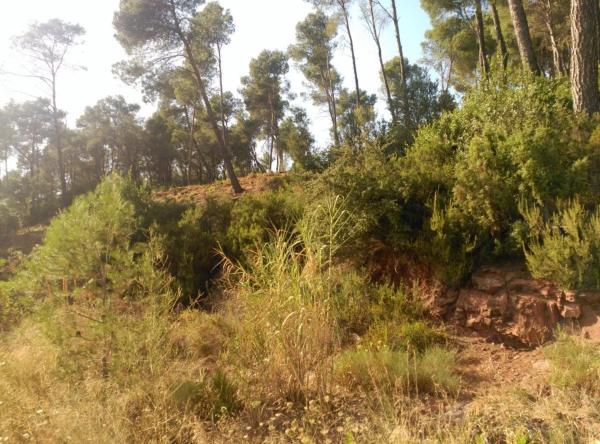 Terreno en Corbera de Llobregat