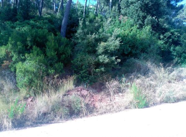 Terreno en Corbera de Llobregat