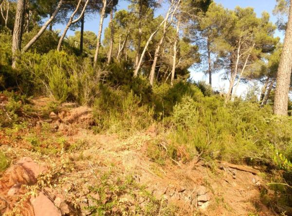 Terreno en Corbera de Llobregat