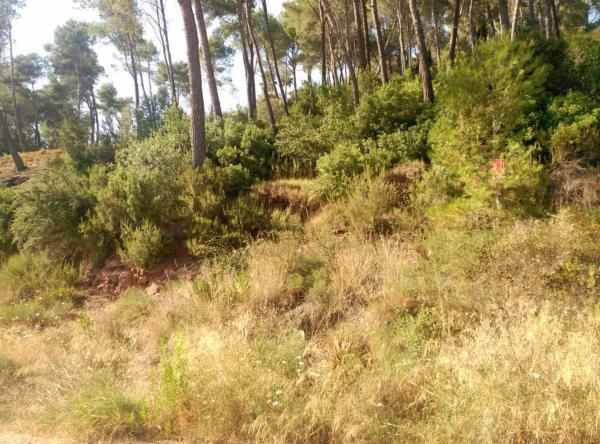 Terreno en Corbera de Llobregat