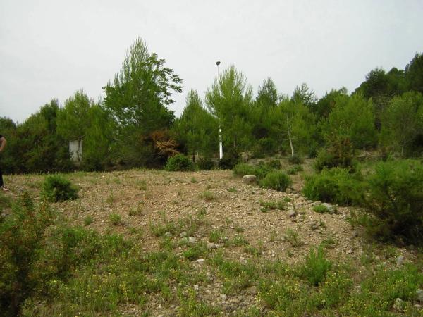 Terreno en Puig del Balandrau, 13