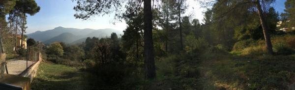 Terreno en calle de Can Rigol, 15