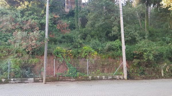 Terreno en xarel.lo, 14