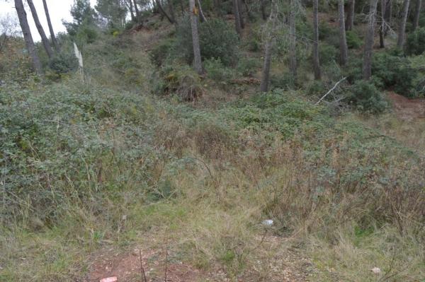 Terreno en Corbera de Llobregat