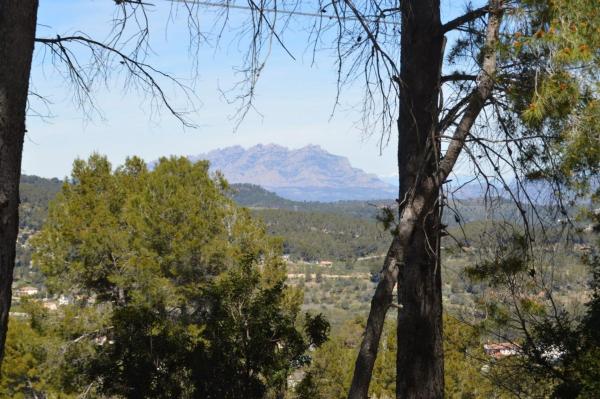 Terreno en Corbera de Llobregat
