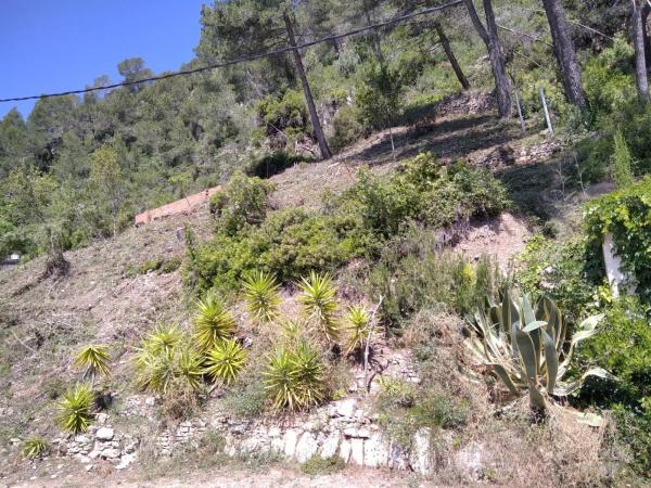 Terreno en calle Puigmal, 31