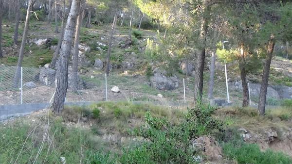 Terreno en calle de Martorell, 25  Bis