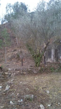 Terreno en avenida dels Pins, 60