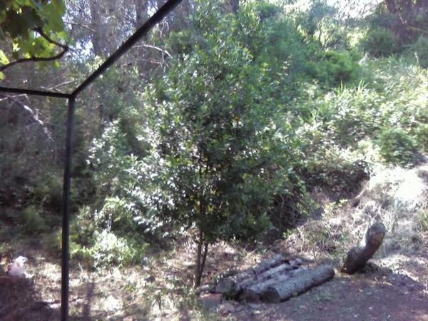 Terreno en calle de l'Avellaner, 3