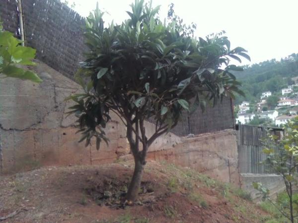 Terreno en calle de l'Avellaner, 3