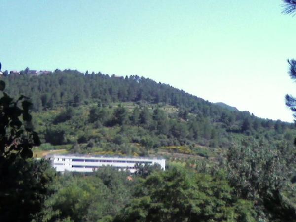 Terreno en calle de l'Avellaner, 3