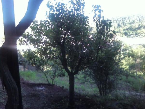 Terreno en calle de l'Avellaner, 3