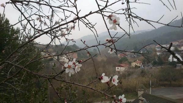 Terreno en avenida dels Pins, 66