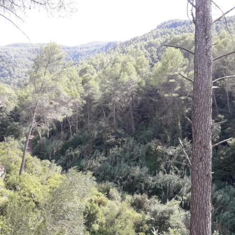 Terreno en avenida del Taió, 20