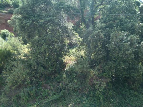 Terreno en camino del Pessebre