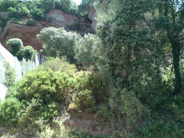 Terreno en camino del Pessebre