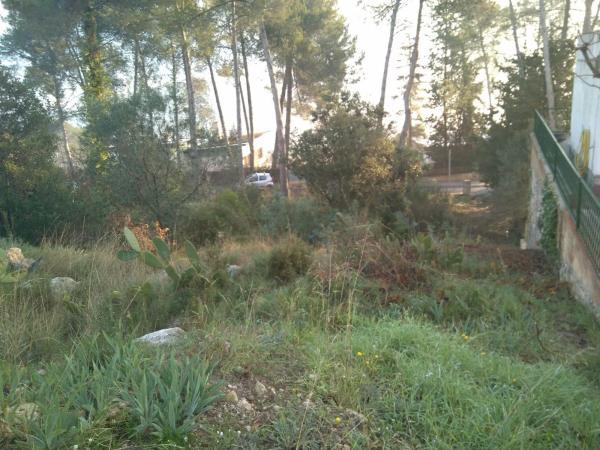 Terreno en sant ponç